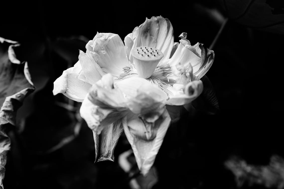 "Girls in Silence" featured in Editor's Choice of LensCulture Black & White Photography Awards 2020